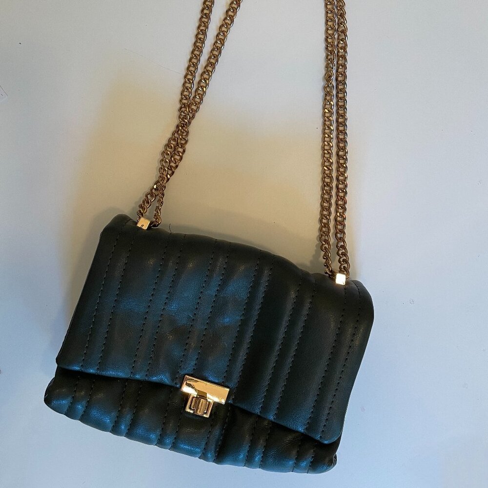 ZARA Gold Chain Handbag
